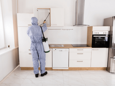 About Critfortix Solution - pest control experts in Fair Oaks